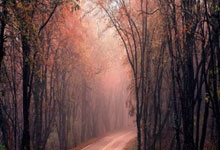 [国际足球]赢球保不住保罗·本托 阿联酋队主帅下课.