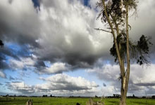 不知道曼联球迷怎么想,反正我特别希望维拉和贝蒂斯出成绩.