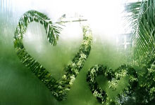 2025年世界运动会巡回赛(成都站)开赛在即 外国运动员“表白”中国3-28 16:18.