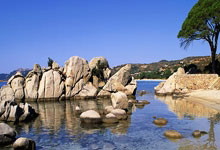 2024-2025吉林国际高山/单板滑雪挑战赛总决赛落幕2025-01-13.